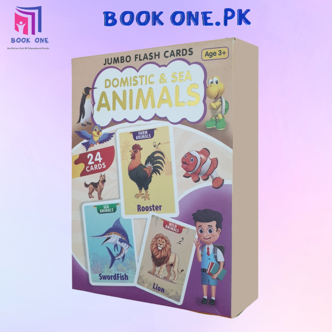 6-in-1 Flash Cards Learning Bundle – The Ultimate Starter Pack