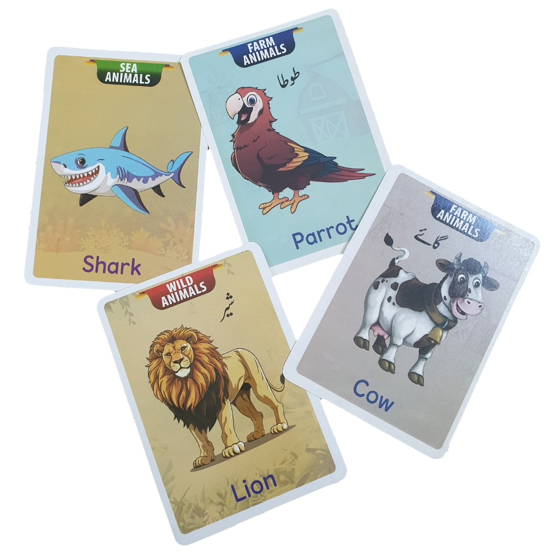 Jumbo Animals Flash Cards (24 cards)