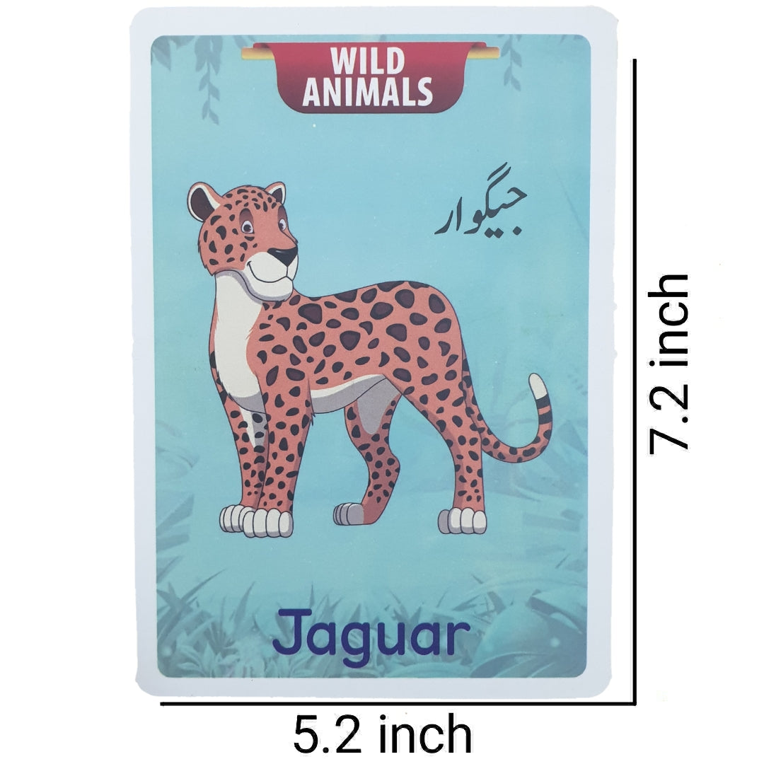 Jumbo Animals Flash Cards (24 cards)