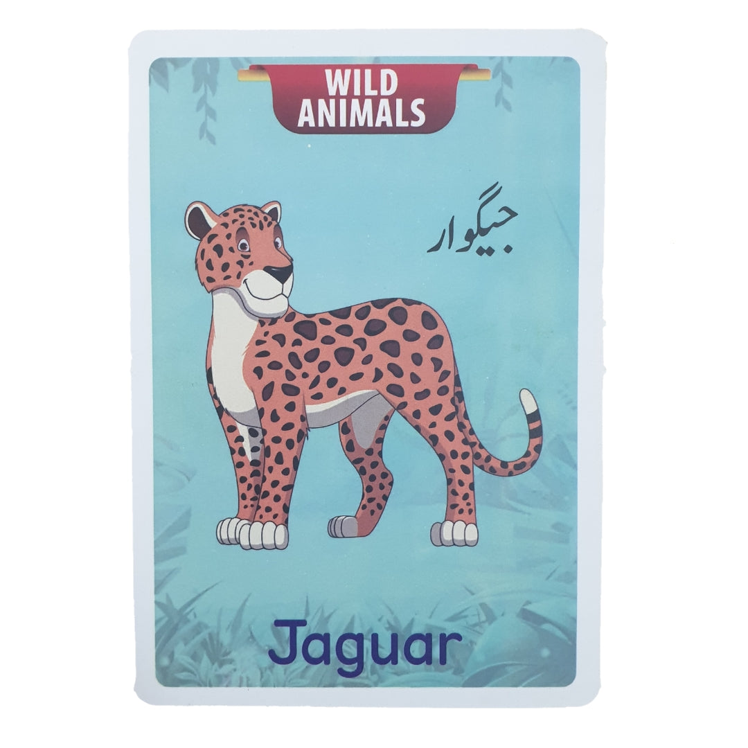 Jumbo Animals Flash Cards (24 cards)